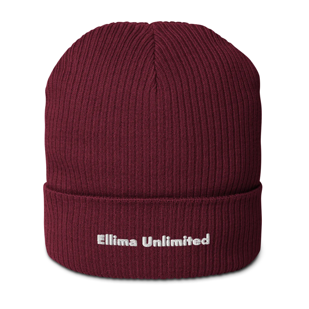 Organic Ribbed Beanie | Atlantis