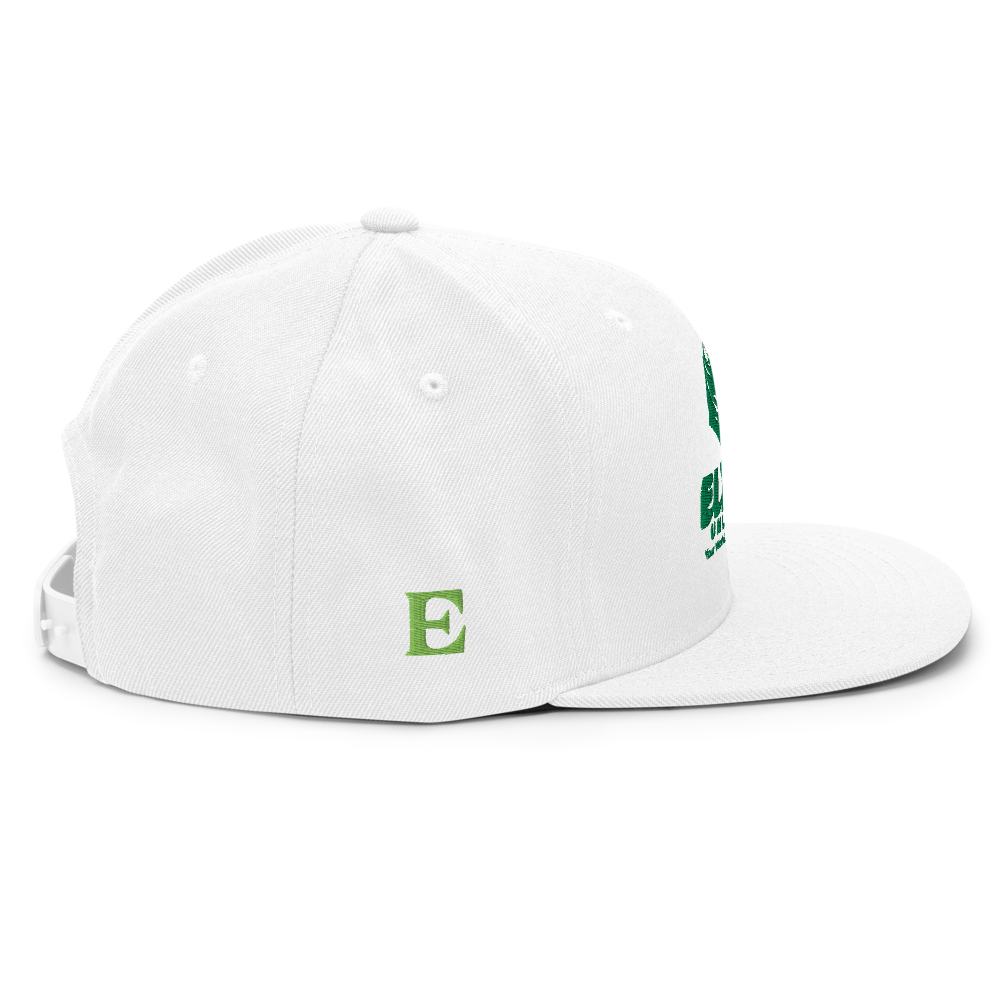 Ellima Unlimited Classic Snapback | Yupoong 6089M