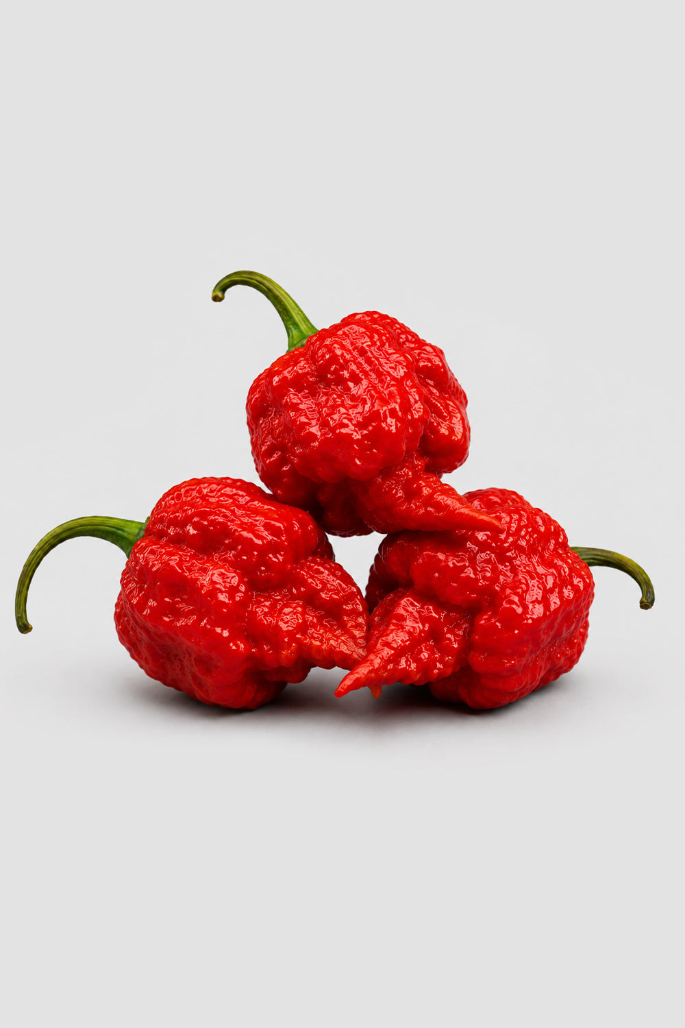 Trinidad Scorpion Pepper Sauce
